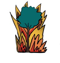 Bosbrand